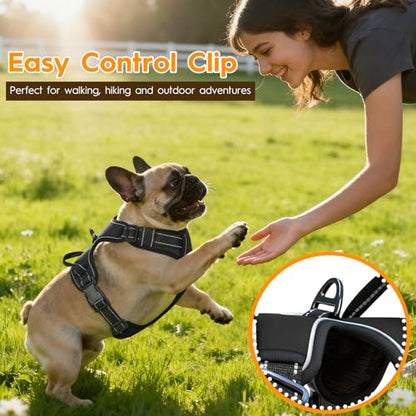 No Pull Dog Harness, No Chock Reflective Adjustable Soft Padded Pet Vest with Easy Control Handle, Easy Wearing with Stylish, Reinforced Knot, 2 Buckles - color: Black, size: X-Small