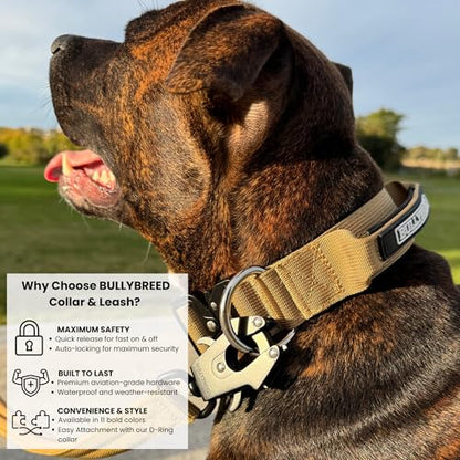 BULLYBREED | Heavy Duty Dog Leash, Tactical Dog Leash, Quick Release Frog Clip with Anti-Tangling Swivel System for Large Dogs that Pull with Soft Double Handles (5 FT Long, Military Tan) - color: Military Tan Double Handle
