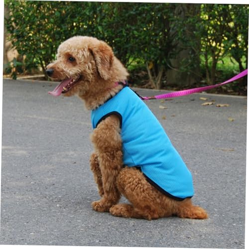 TEHAUX Pet Vest Sleeveless Cooling Mesh Breathable Dog Shirt Blue S Summer Clothes for Small Dogs Puppies