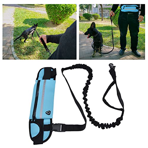 Generic Belt Bag Dog Leash Set, Hands Free Waist Pack with Reflective Strips and D Ring, for Walking Running Hiking Training (Sky Blue) - color: Sky Blue