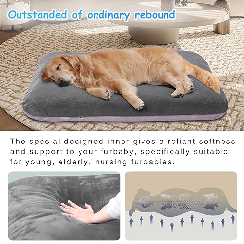 Super Soft Medium Dog Bed, 32 Inches Orthopedic Foam Pet Beds with Anti Slip Bottom, Dog Sleeping Mattress with Removable and Washable Cover, Grey M,32'' X 24'' X 3'' - color: Grey, size: 32.0"L x 24.0"W x 3.0"Th