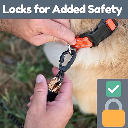 6 Foot Dog Leash, Two Extra Padded Handles, Locking Carabiner Clip, Reflective for Night Visibility, Weatherproof, Heavy Duty Rope Leash, Roam Gear (Brown) - color: Brown