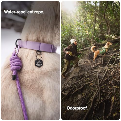 Säker Trust™ Rope Dog Leash – 61” Climbing Rope Lead with 7075 Aluminum Carabiner, Waterproof & Reflective Training Gear for Dogs, Built for Trail Running, Hiking, Everyday Use – Teal - color: Skeena Teal