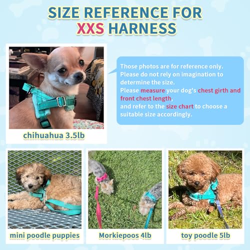 SlowTon No Pull Small Dog Harness and Leash Set, Puppy Soft Vest Harness Neck & Chest Adjustable, Reflective Lightweight Harness & Anti-Twist Pet Lead Combo for Small Medium Dogs(BL-Front Clip,XXS) - color: B-Teal - With Front Clip, size: XX-Small