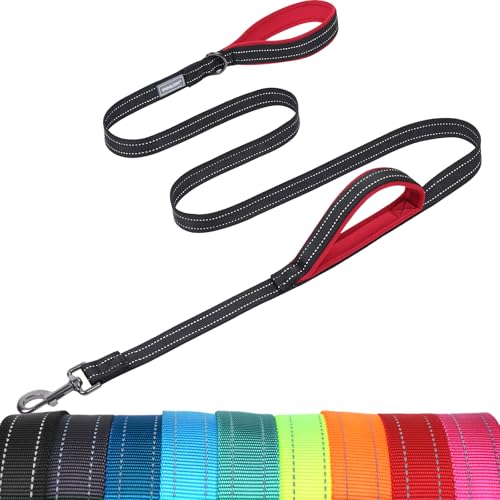 VIVAGLORY Dog Leash Twingrip Double Handle Dog Leash with Traffic Handle Control & 2 Loop for Walking & Training, Reflective Heavy Duty for Puppy Pet Collar, 6ft x 1in, Black - color: Black, size: 6 ft. x 1 in.