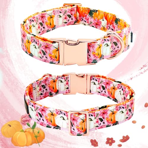 Fall Dog Collar, Pink Flower Pumpkin Print Adjustable Pet Collar Cute Cotton Soft Collars with Flower Metal Buckle Holiday Puppy Collars Boy&Girl Gift for X-Small Dogs - color: B:Fall Pumpkin, size: X-Small (Pack of 1)