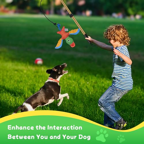Flirt Pole for Dogs, Interactive Dog Toys Extendable Teaser Wand with Lure Chewing Toys, Chase and Tug of War for Small Medium Large Dogs Training Playing Exercise - size: 40.5Inch Pole-Gold