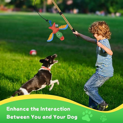 Flirt Pole for Dogs, Interactive Dog Toys Extendable Teaser Wand with Lure Chewing Toys, Chase and Tug of War for Small Medium Large Dogs Training Playing Exercise - size: 40.5Inch Pole-Gold