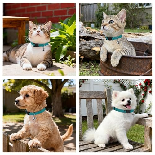 Small Dog Collar 2 Pack Collar for Kitten Adjustable Length 10.6" to 17.1" - color: Teal Blue