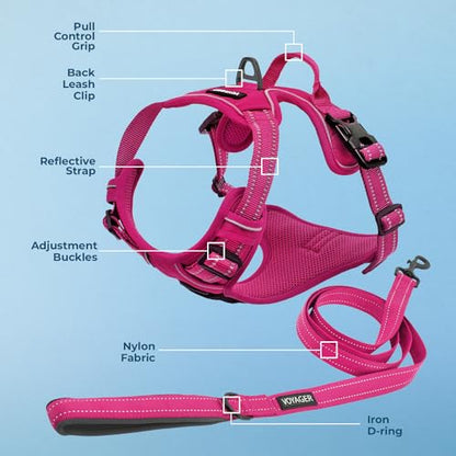 Voyager Dog Harness Dual Leash Attachment No-Pull Control Adjustable Soft but Strong Pet Harness for Medium and Large Dogs with 3M Reflective Technology, Leash Set Fuchsia Nylon, M (Chest: 20-25") - color: Leash Set Fuchsia Nylon, size: M (Chest: 20 - 25"
