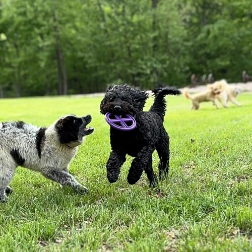 Flexible Flying Disc - Durable Floating Dog Toy for Fetch, Tug, Treat Filling, Made in USA, FDA Compliant TPE, Medium/Large Dogs, Green - color: Green