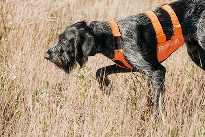 Browning Pet Hi-Vis Safety Vest for Dogs, Safety Orange, Large, Chest Protection - size: Large, style: Chest Protection Vest