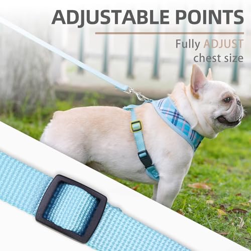 PUPTECK Soft Mesh Dog Harness and Leash Set Pet Puppy Cat Comfort Padded Vest No Pull Harnesses, Light Blue, XS - color: Blue, size: XS (NECK: 10", CHEST: 10"-14")