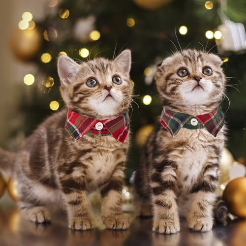 ADOGGYGO Christmas Cat Collars Breakaway with Bow Bell, 2 Pack Stylish Red Green Plaid Xmas Kitten Collar with Removable Shirt Collar, Plaid Christmas Collars for Cats Kittens - color: Christmas-3