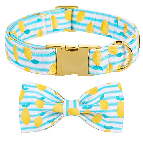 Maca Bates Summer Lemon Dog Collar with Bow Bowtie for Dogs Adjustable Breakaway Bows Tie Collars Accessories Birthday Gift for XS Small Medium Large XL for Girl Boy Puppy Cat Pets - color: Summer-Bow Tie-Lemon, size: XL