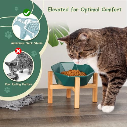 Green with Stand Ceramic Tilted Elevated Raised Pet Bowl with Bamboo Stand for Cats and Dogs No Spill Pet Food Water Feeder - color: Green with stand