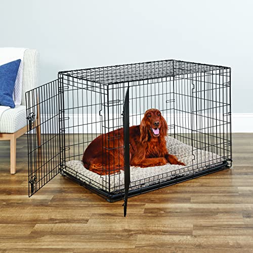 Midwest Homes for Pets 42-Inch New World Crate for Large Breeds, 71-90 lbs, Double Door Folding Dog Crate, Leak-Proof Tray & Secure Latches, Portable, Durable & Easy to Assemble - size: 42.0"L x 28.0"W x 31.0"H