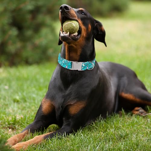 Maca Bates St Patricks Day Dog Collar Irish Clover Dogs Rainbow Cute Clovers Soft Adjustable Durable Saint Patrick's Shamrock Spring Gift for Small Medium Large Girl Boy Male Female Puppy Pet - color: St. Patrick-Rainbow Clover, size: S