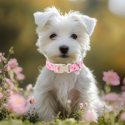 Girl Dog Collar Pink Gingham Bow Dog Collars for Puppy Small Dogs - Lightweight Adjustable Girly Spring Female Dogs Everyday Collar with Safety Buckle XS - color: Gingham Bow, size: XS