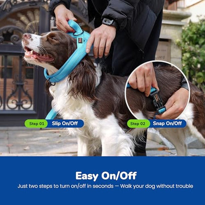 Didog No Pull Dog Harness with Soft Mesh Padded,Reflective & Quick Fit Light Weight Dog Strap Vest Harness,Easy for Walking Training (S:Chest 18-22", Mesh-Blue) - color: Blue, size: S: Chest 18-22", Fit 19-29 lbs
