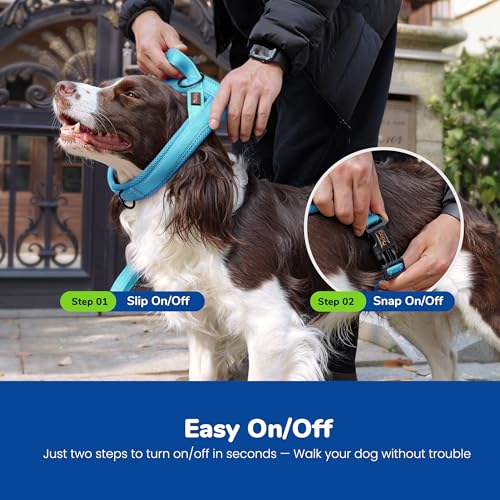 Didog No Pull Dog Harness with Soft Mesh Padded,Reflective & Quick Fit Light Weight Dog Strap Vest Harness,Easy for Walking Training (S:Chest 18-22", Mesh-Blue) - color: Blue, size: S: Chest 18-22", Fit 19-29 lbs