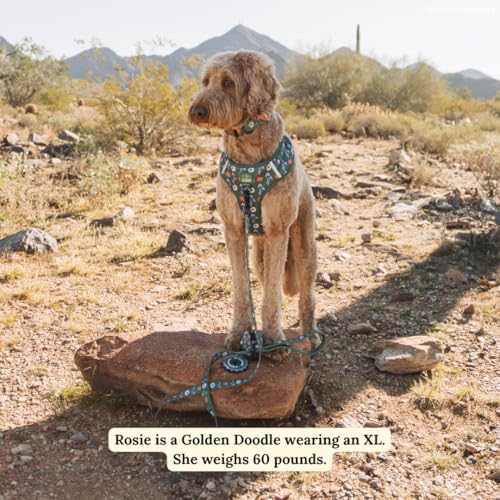 Lucy & Co. x Parks Project Power to the Parks No-Pull Dog Harness, Adjustable Front Clip Harness with Comfort Padding, Small - color: Power to the Parks, size: Small