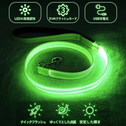 Colaseeme Light Up Dog Leash, LED Pet Leashes USB Rechargeable, Glow Safety Dogs Lights at Night (4FT,Green-New) - color: Green (New), size: 4FT