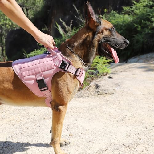 ICEFANG Tactical Dog Harness,Medium Size, 2X Metal Buckle,Working Dog MOLLE Vest with Handle,No Pulling Front Leash Clip,Hook and Loop Panel (Pink, M (Pack of 1)) - color: Pink, size: Medium (Pack of 1)