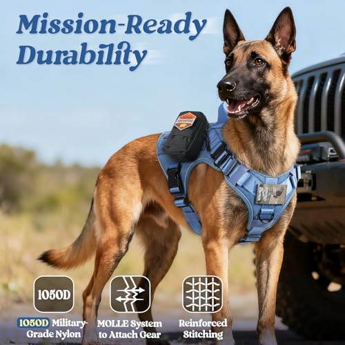 rabbitgoo Tactical Dog Harness Small Sized, No Pull Upgraded Reflective Heavy Duty Molle Vest with Handle, Adjustable Military Service Dog Vest for Walking Hiking Training, Blue, S - color: Blue Reflective, size: Small