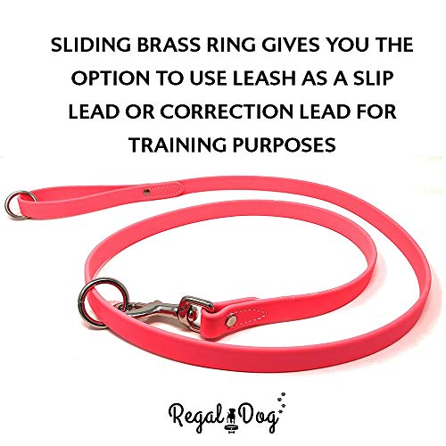 Regal Dog Products Waterproof Leash – 5 ft. Pink Dog Leash with Easy to Use Collar Hook, Lightweight, and Proof Training Pet Lead with Vinyl-Coated Webbing for Small, Medium, Large, or XL Dogs - color: Pink
