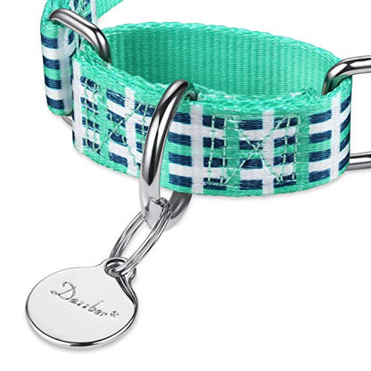 Martingale Dog Collars Colourful Oil Painting Pattern Series - No Pull Pet Collar Silky Soft for Medium and Large Dogs (Medium, 1 Inch Wide, Blue White Plaid) - color: Blue White Plaid, size: Medium: 14"-21", 1" Wide