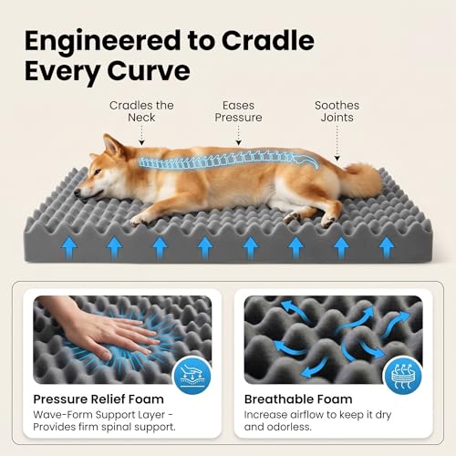 Orthopedic Medium Dog Bed 30 x 20Inch, L Shaped Memory Foam Pet Bed with Sides, Comfortable Dog Couch with Removable Washable Arctic Velvet Cover & Non-Slip Bottom, Gray - size: 29.5" L x 19.7" W x 5.9" H--With sides