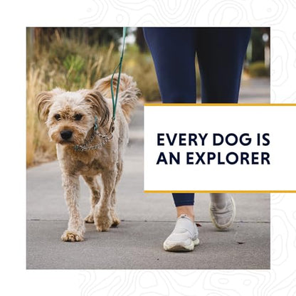 Ruffwear, Chain Reaction Dog Collar, Adjustable Reflective Martingale Escape-Proof Collar with Stainless Steel Chain, Professional Training Control, River Rock Green, 20"-26" - color: River Rock Green, size: 20"-26"