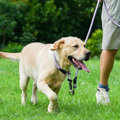 Rope Dog Leash with Two Handles, 6 Foot Heavy Duty Dog Leash with Aviation Aluminum Auto Locking Carabiner, Strong Nylon Pet Lead for Small, Medium, Large Dogs (Purple, 6FT-Two Handle) - color: Purple, size: 6 Foot Two Handle