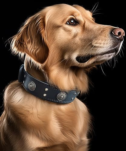 Leather Dog Collar, 2 inches Wide Heavy Duty Genuine Leather Collars, Handmade, Soft, and Luxury, Eye-catching Best Choice for Large and Medium Breed Dogs, Black 18.5-22.5 inches - color: Black, size: 18.5-22.5 in