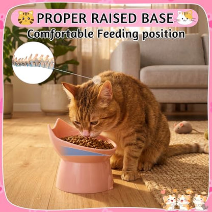 3 Pcs Elevated Cat Bowls 15°Raised Cat Food Bowl with Silicone Mat Whisker Friendly Anti Vomiting Cats Dishes Pet Food and Water Bowls for Indoor Cats Kittens, Pink, Green, Gray - color: Pink, Green, Gray