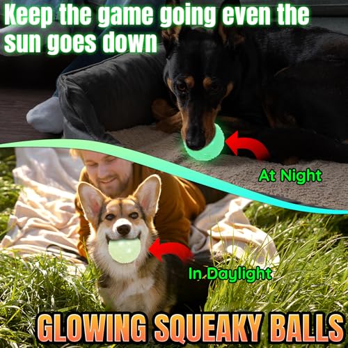 LECHONG 4-Pack 2.5” Glow in The Dark Squeaky Dog Balls, Durable Glowing Bouncy Rubber Fetch Toy Balls for Small Medium Puppy Dogs Nighttime Playing Indoors and Outdoors - size: 2.5in Medium