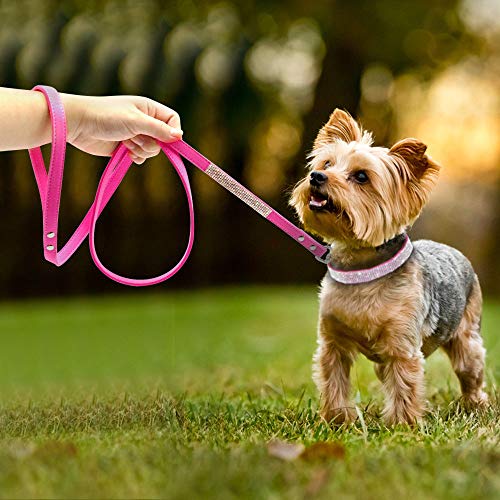 Rhinestone Bling Leather Dog Collar and Leash Set, Cute Dazzling Sparkling Soft Velvet Dog Cat Collar Crystal Diamond Puppy Collar (XS, Red1) - color: Red1, size: XS
