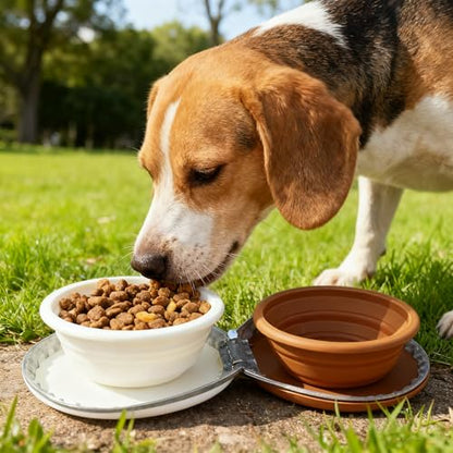 Zegcohjave Collapsible Dog Bowls,Travel Dog Bowl, Dog Water Bowl,Cat Bowl,Portable Pet Bowl, Suitable for Travel, Camping, and Hiking(Brown and Light Yellow) - color: Brown and light yellow