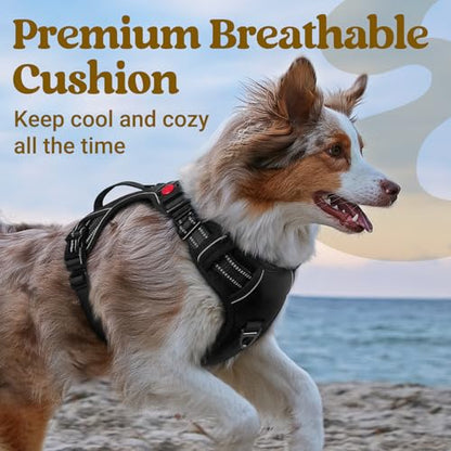 rabbitgoo Dog Harness Medium Sized, No Pull Pet Harness with Soft Padded Handle, Adjustable Reflective Vest with 3 Buckles, Easy Walking Harness with 2 Leash Clips, Black, M - color: Black, size: Medium