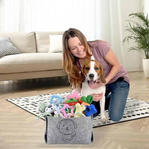 LECHONG 24 Pack Puppy Chew Toys, Dog Teething Toys with Storage Bin, Dog Rope Toys and Squeaky Toys for Boredom, Interactive Dog Toys for Small & Medium Breeds - size: 24pack