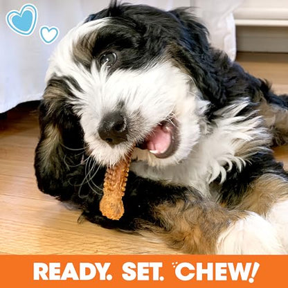 Nylabone Puppy Gift Box, Includes 3 Strong Puppy Chew Toys and 1 Natural Treat Bone for Puppies, Gifts for Puppies, Small Dogs - Up to 25 lbs., 4 Pack - size: Puppy (4 Count)