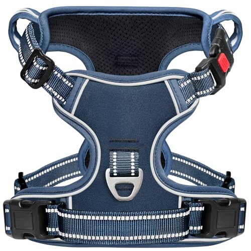 Dog Harness Small Sized, No Pull Pet Harness with Neck Lockable Snap,No Choke Front Clip Dog Reflective Vest,Adjustable Metal Rings 3 Buckles,Easy Control Handle for Small Dogs Royal Blue S - color: Lock Royal Blue, size: Small (Pack of 1)