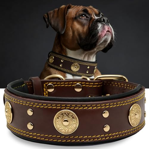 Leather Dog Collar, 2 inches Wide Heavy Duty Genuine Leather Collars, Handmade, Soft, and Luxury, Eye-catching Best Choice for Large and Medium Breed Dogs, Brown-Gold 18.5-22.5 in - color: Brown-Gold, size: 18.5-22.5 in