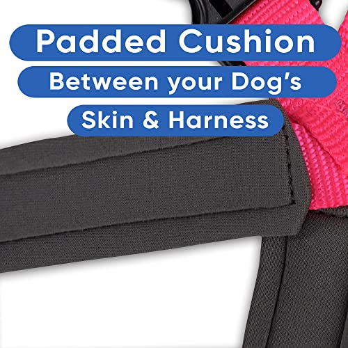 Pawtitas Reflective Padded Dog Harness for X-Small Dogs – Adjustable Puppy Step-in Vest | Fits Chest 14–18 in | No Pull Training Harness | XS | Pink - color: Pink, size: X-Small (Pack of 1)