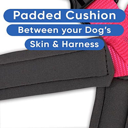 Pawtitas Reflective Padded Dog Harness for Small Dogs – Adjustable Puppy Step-in Vest | Fits Chest 18–22 in | No Pull Personalized Training Harness | S | Pink - color: Pink, size: Personalized Small (Pack of 1)