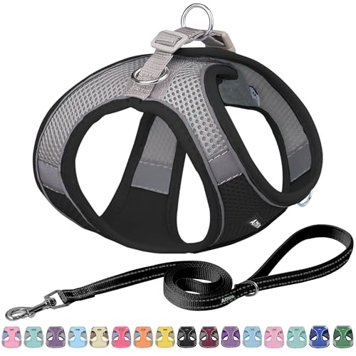 AIITLE Small Harness for Puppy with A Leash - Dog Vest Harness with Super Breathable Mesh, Reflective No-Pull Pet Harness for Outdoor Walking, Running for Small Dogs, Cats Black XXS - color: Black, size: XXS(Chest: 10 - 11.5")