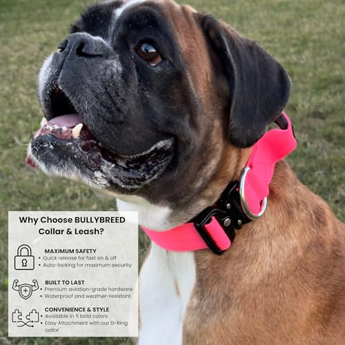 BULLYBREED | Heavy Duty Dog Leash, Tactical Dog Leash, Quick Release Frog Clip with Anti-Tangling Swivel System for Large Dogs that Pull with Soft Double Handles (5 FT Long, Hot Pink) - color: Hot Pink