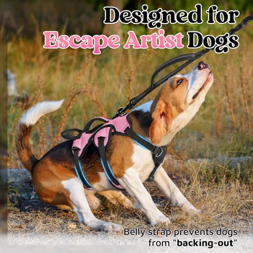 rabbitgoo Escape Proof Dog Harness Small Sized Dog, Soft Padded Full Body Pet Harness, Reflective Adjustable Vest with Lift Handle and Leash Clip for Walking Hiking Training, Light Pink, S - color: Light Pink, size: Small (Pack of 1)