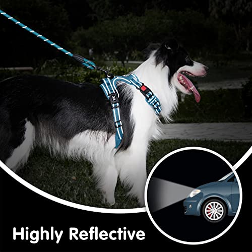 PoyPet No Pull Dog Harness and 5 Feet Leash Set, Release on Neck Reflective Adjustable Pet Vest, Front & Back 2 D-Ring and Soft Padded Pet Harness with Handle for Small to Large Dogs(Tumalo Teal,M) - color: Tumalo Teal, size: Medium